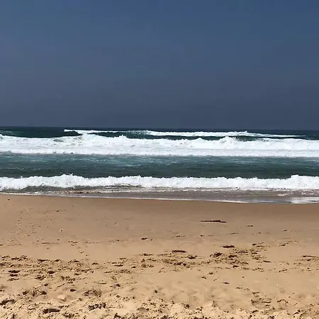 Lacanau-ocean Sud Pleine Vue Ocean