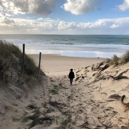 Lacanau-ocean Sud Pleine Vue Ocean Daire