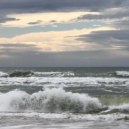 Lacanau-ocean Sud Pleine Vue Ocean Daire