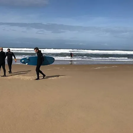 Lacanau-ocean Sud Pleine Vue Ocean *