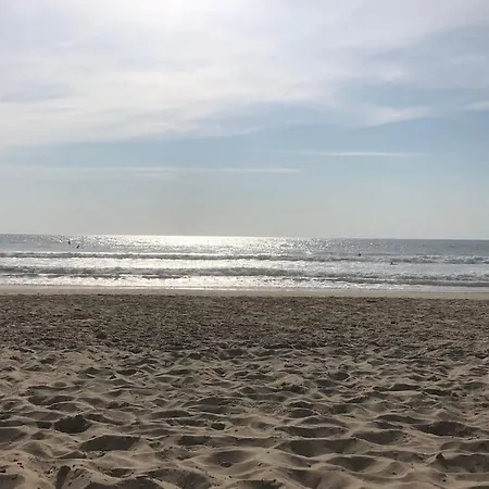 Lacanau-ocean Sud Pleine Vue Ocean Daire *